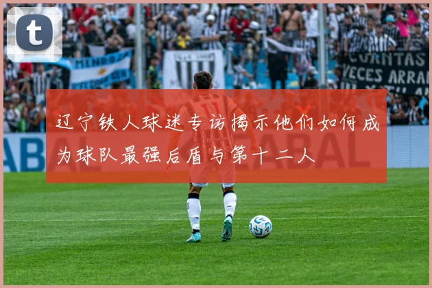 辽宁铁人球迷专访揭示他们如何成为球队最强后盾与第十二人