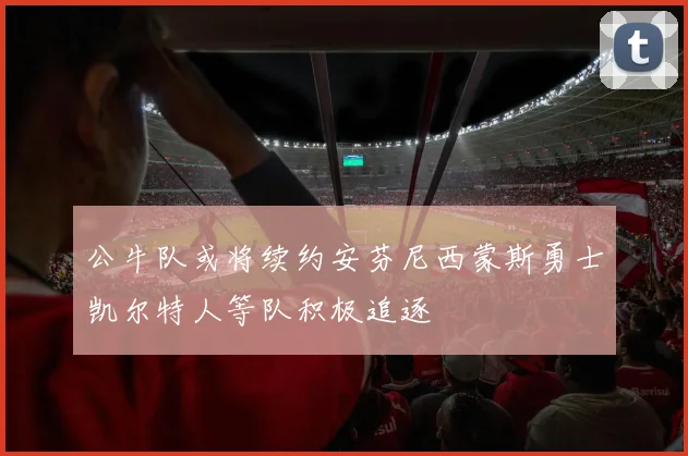 公牛队或将续约安芬尼西蒙斯勇士凯尔特人等队积极追逐